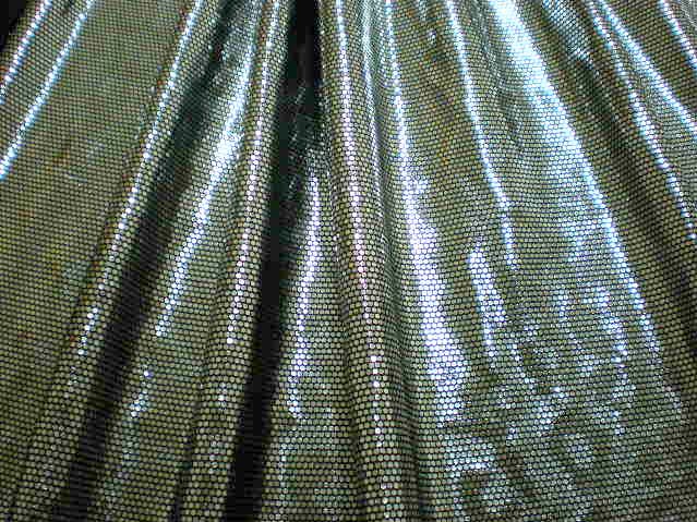 2.Silver Wild Zone